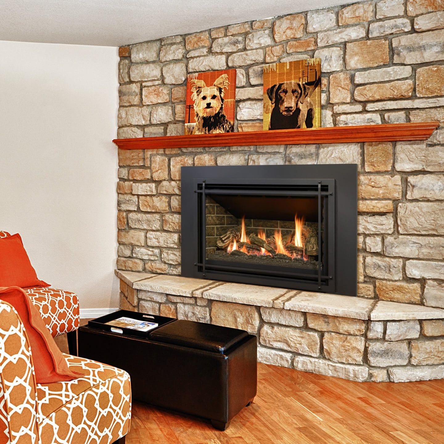 Stock Image - Kozy Heat Chaska 335S Gas Inserts - Stove Depot and Chimney Works