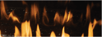 DFirenze_BGFireback DFirenze BGFireback